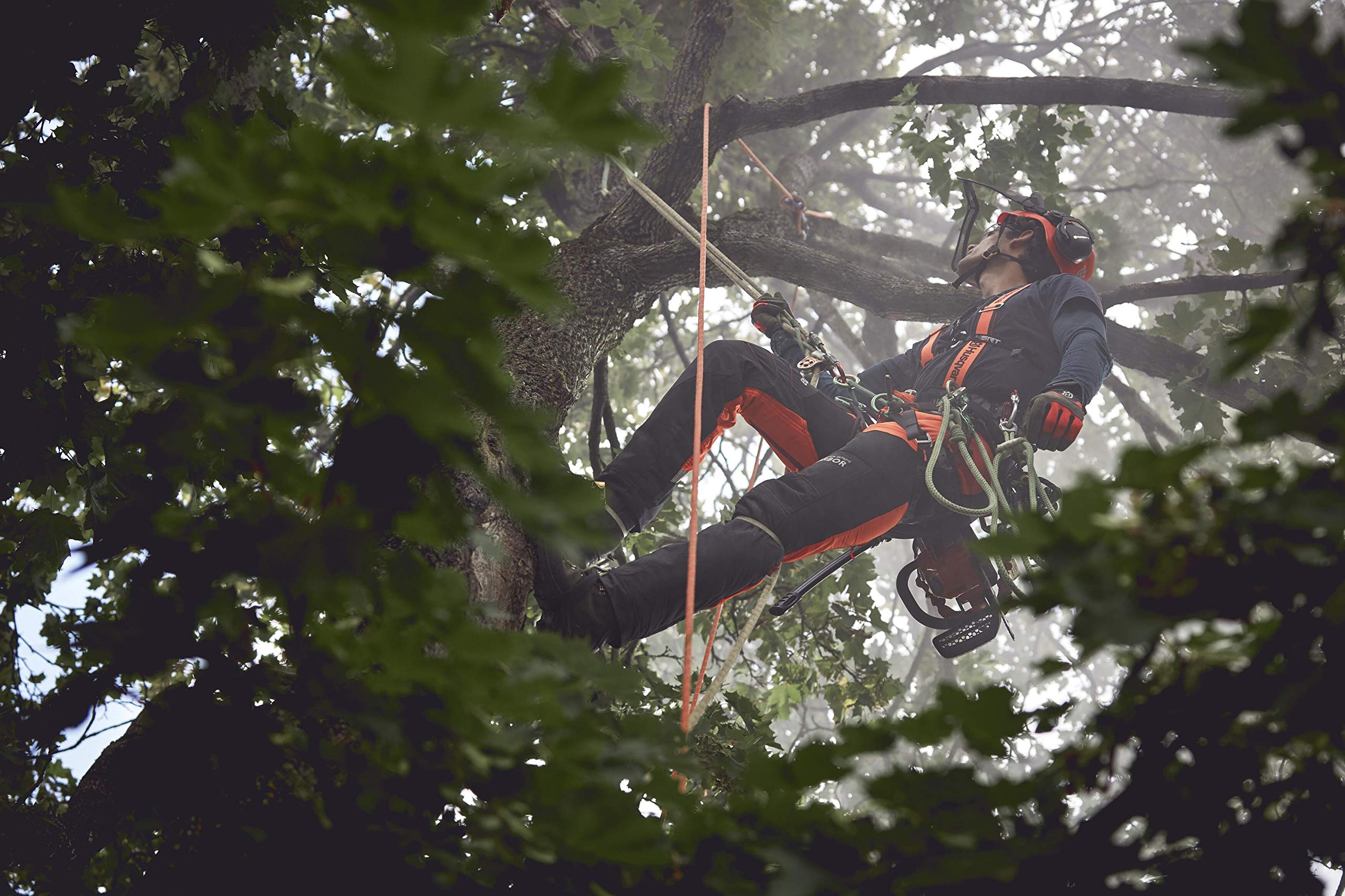 Amazon.co.jp: ハスクバーナ・ゼノア アーボリスト カラビナ HMS